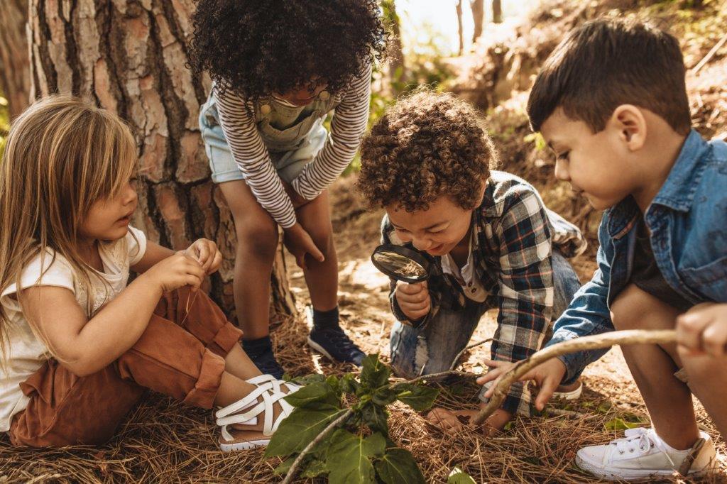 Kinder betrachten ein Pflänzchen im Wald - ein Junge blickt durch die Lupe