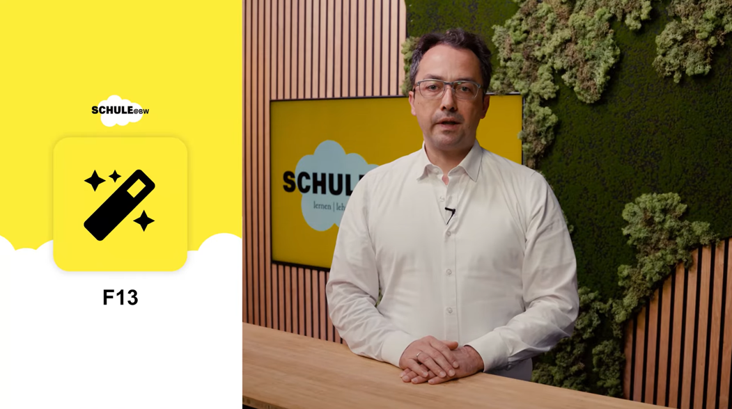 Vorschaubild zum Video F13