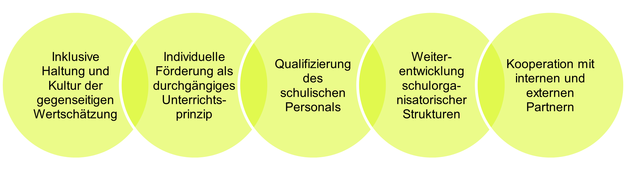 Darstellung der 5 Qualitätsdimensionen des Projekts „inklusivBS“