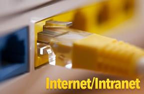 LAN-Anschluss-Kabel im PC